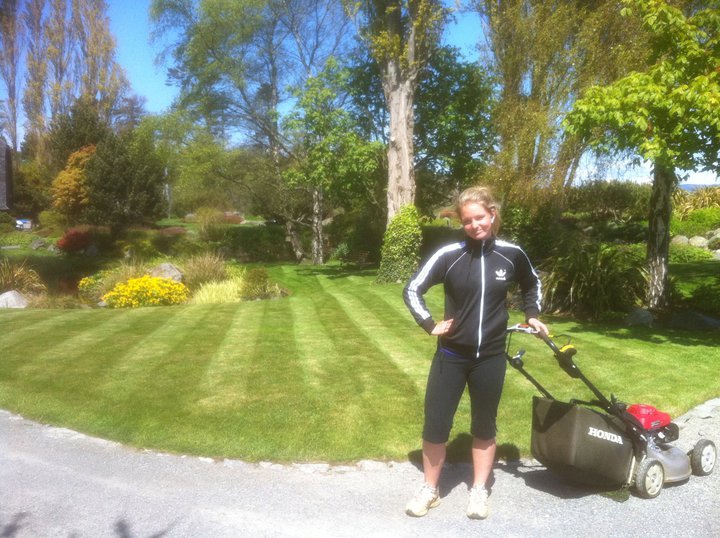 lawn.jpg