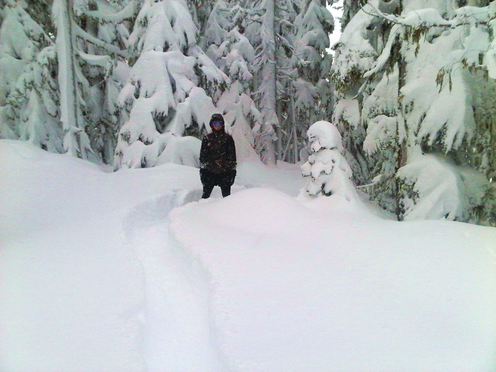 IMG00610-20110213-1230.jpg