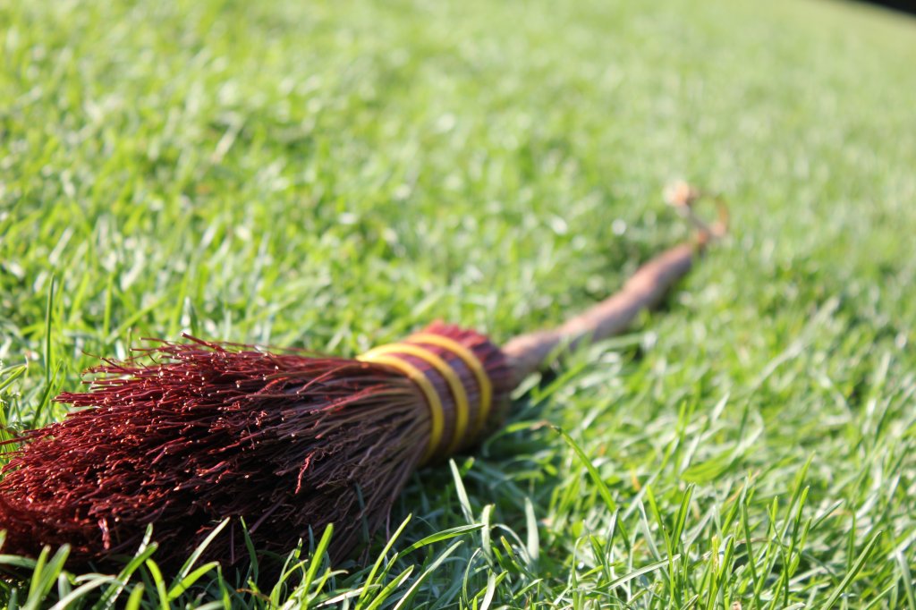 sportinggoodsquidditch1.jpg