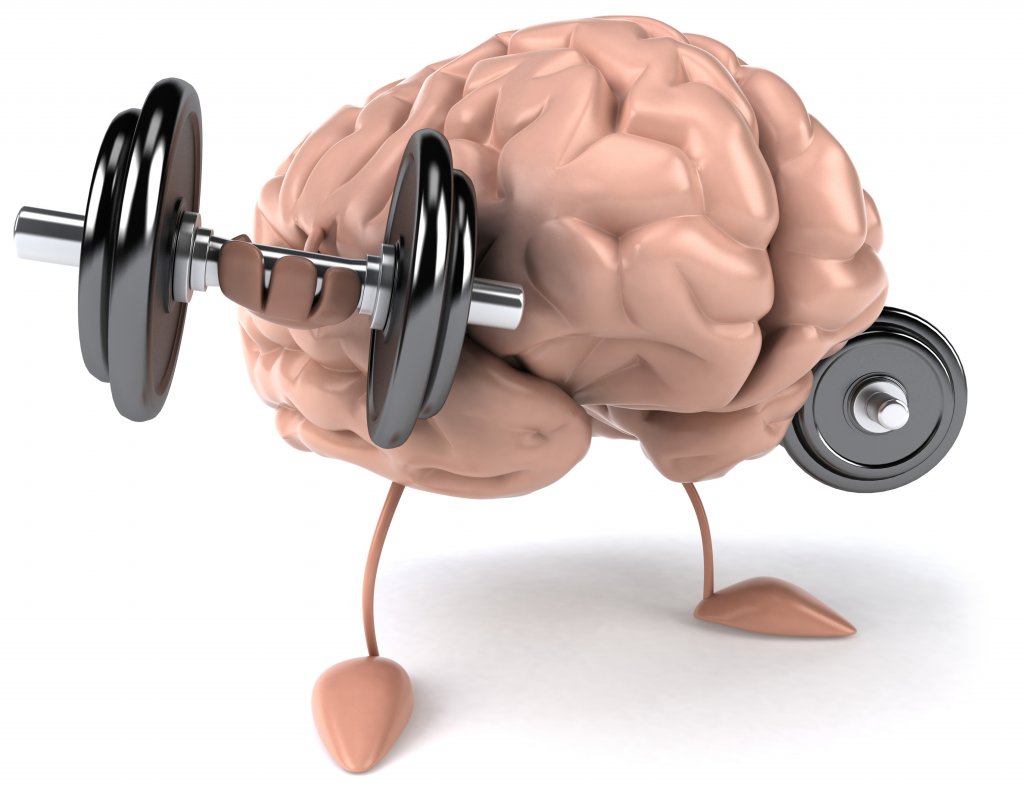 education brain.jpg