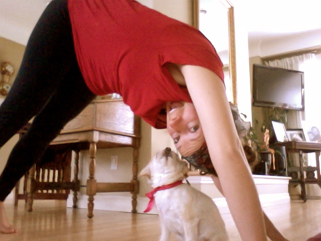 Downward facing dog!