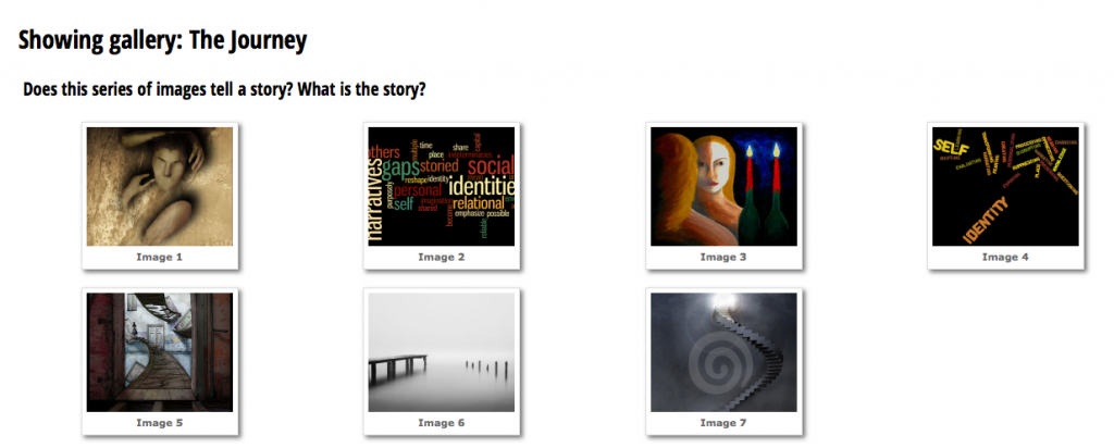 The Journey Image Gallery.png