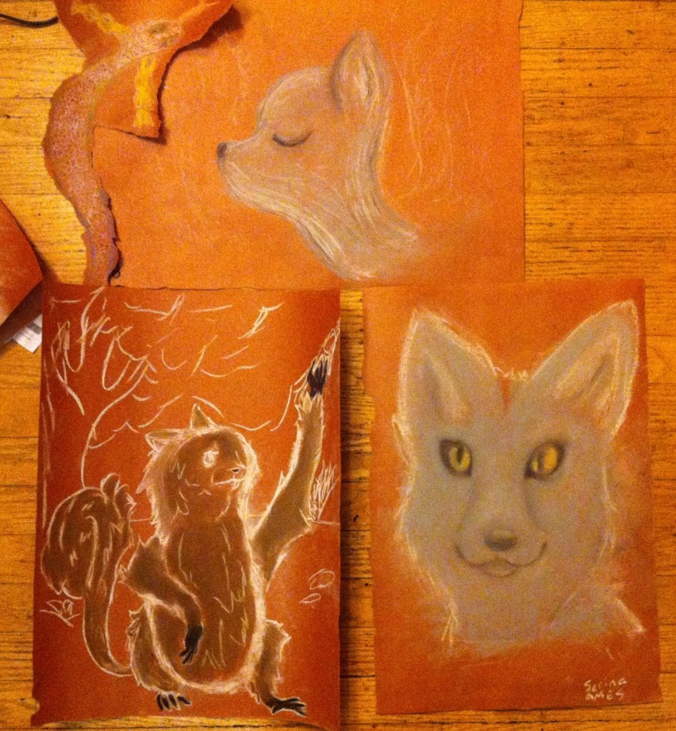 Spirit Animals 1