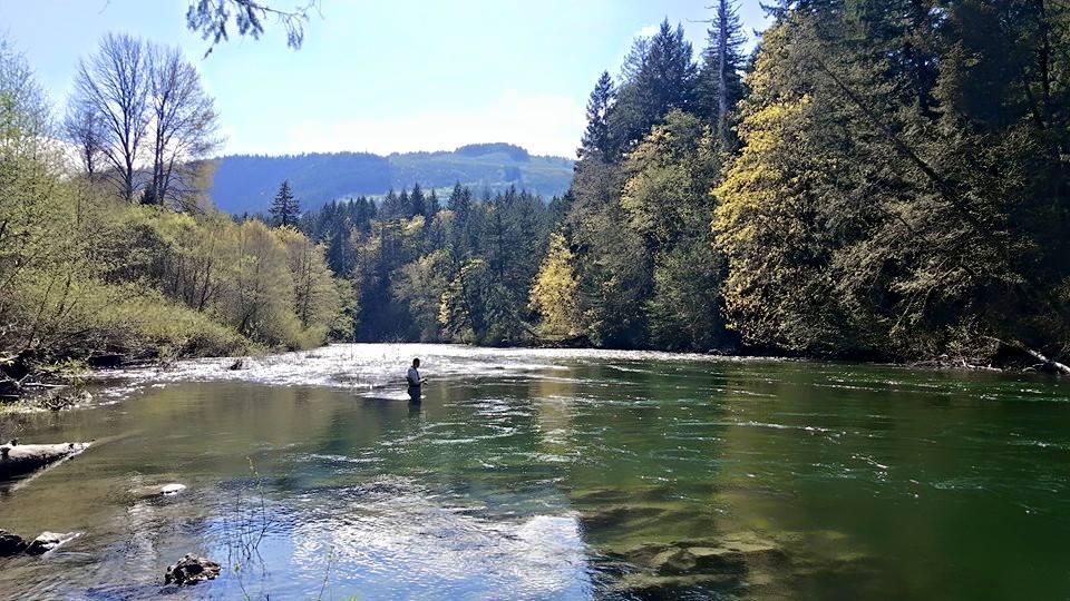 river.jpg