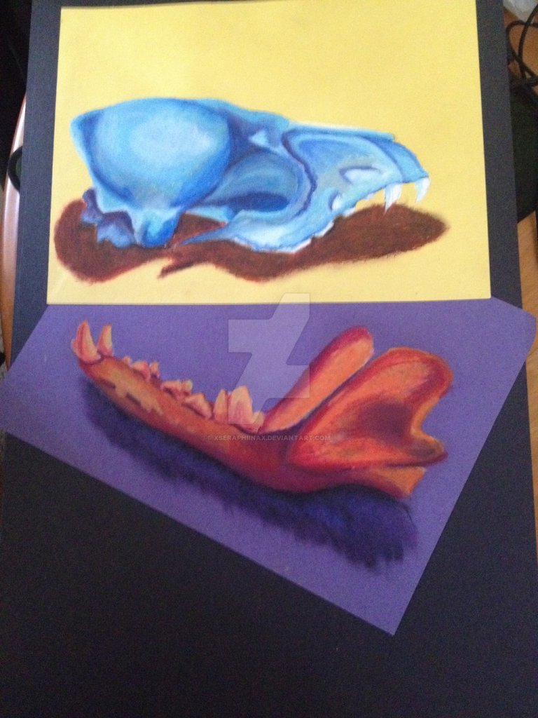 hot_and_cold__bone_drawings__by_xseraphiinax-d8u7cao.jpg