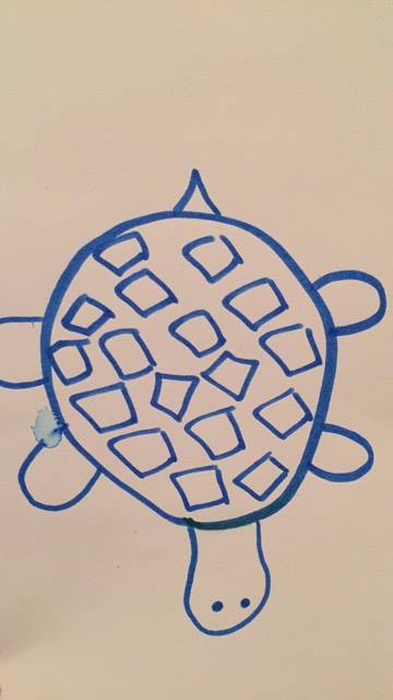 Turtle .jpg