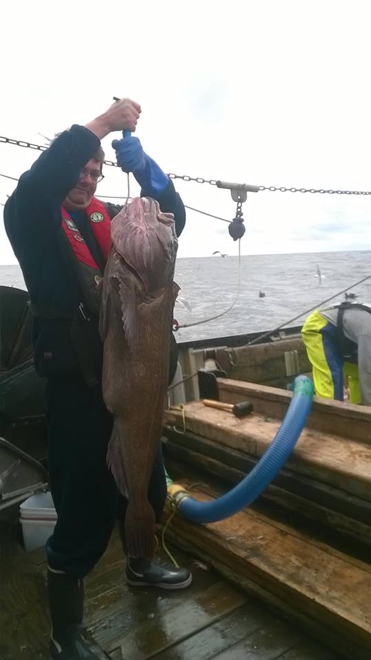 At-sea-Fisheries Observer for Archipelago Marine Research