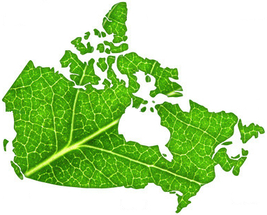 green-canada.jpg