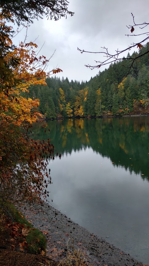 IMG_20171019_095053357_HDR.jpg